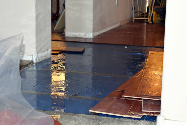 Professional Water Damage Restoration technician working in Round Rock, TX